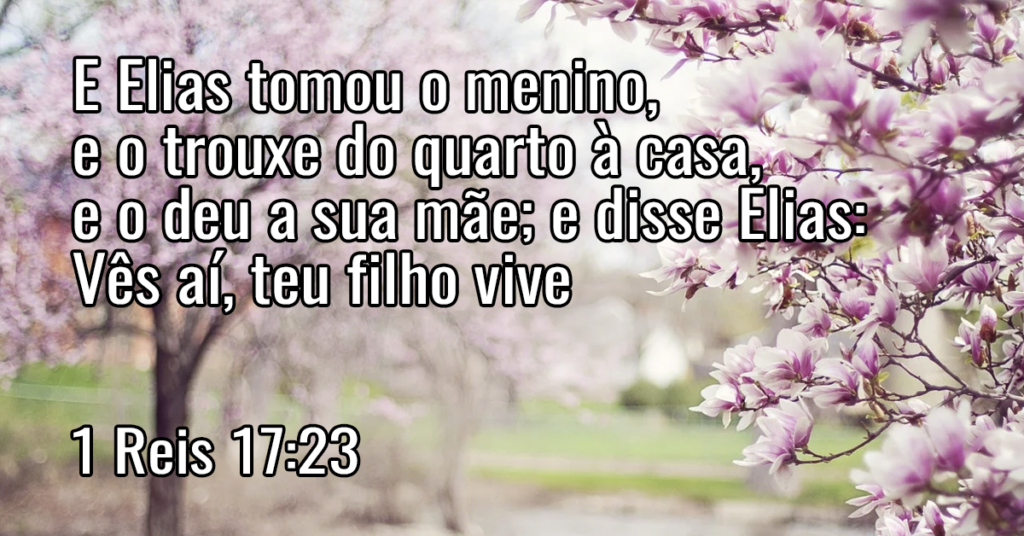 E Elias tomou o menino, e o trouxe do quarto à casa, e o deu a sua mãe; e disse Elias- Vês aí, teu filho vive