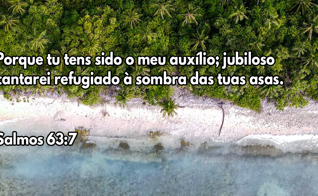 Porque tu tens sido o meu auxílio; jubiloso cantarei refugiado à sombra das tuas asas