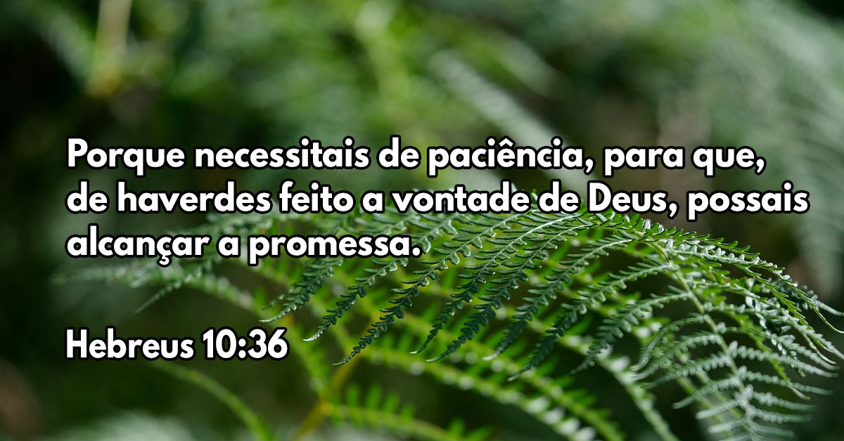 Porque necessitais de paciência, para que, de haverdes feito a vontade de Deus, possais alcançar a promessa.