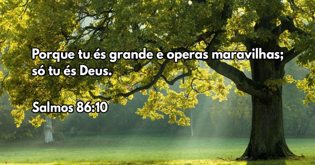 Porque tu és grande e operas maravilhas; só tu és Deus.