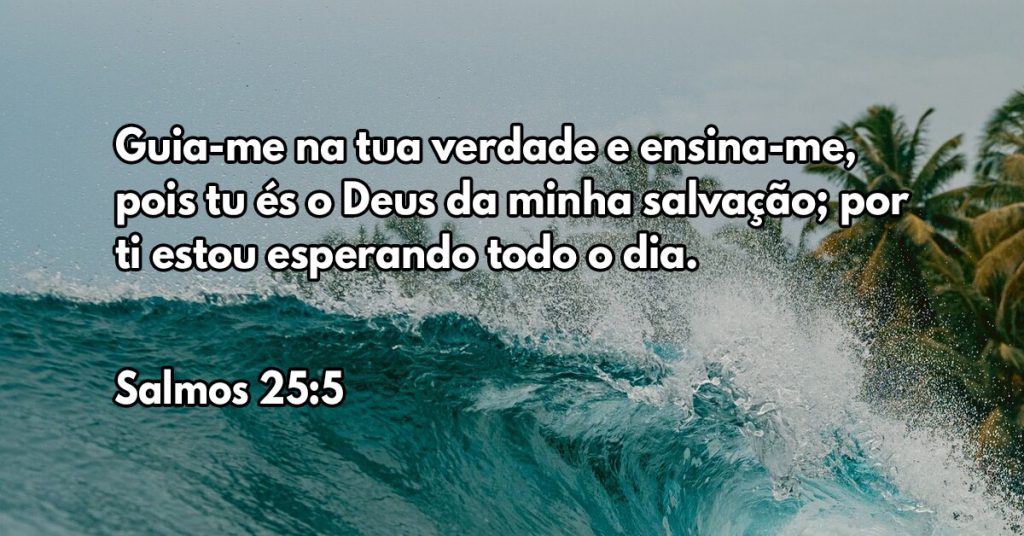 Guia-me na tua verdade e ensina-me, pois tu és o Deus da minha salvação; por ti estou esperando todo o dia.