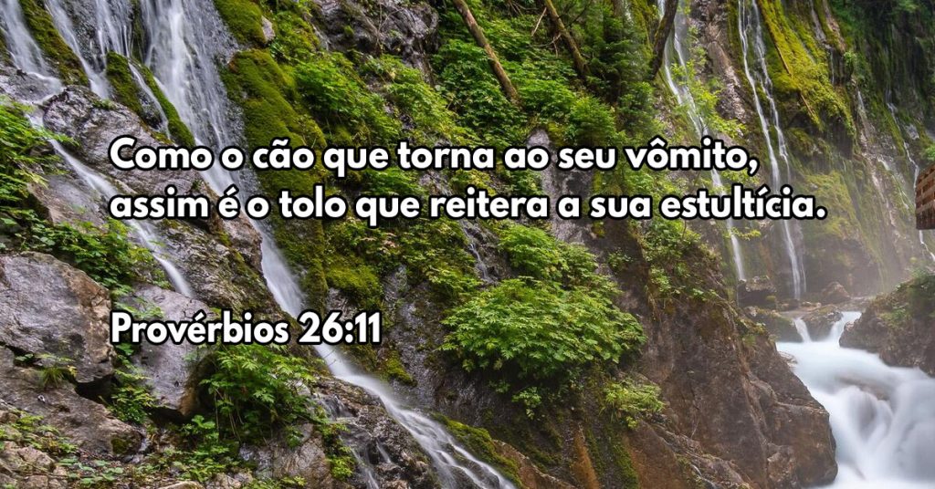 Como o cão que torna ao seu vômito, assim é o tolo que reitera a sua estultícia.