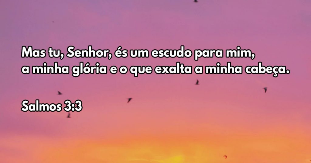 Mas tu, Senhor, és um escudo para mim, a minha glória e o que exalta a minha cabeça.