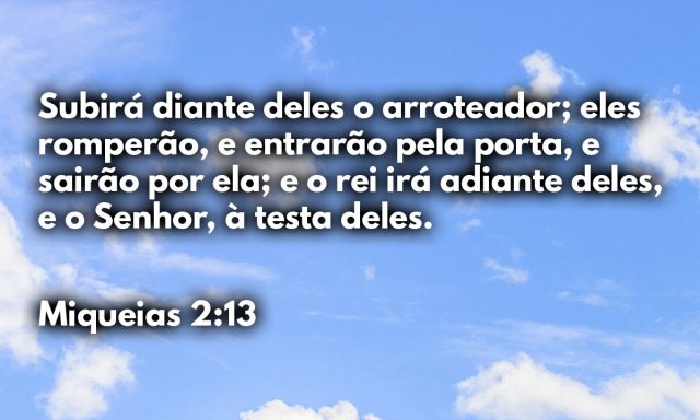 Subirá diante deles o arroteador; eles romperão, e entrarão pela porta, e sairão por ela; e o rei irá adiante deles, e o Senhor, à testa deles.